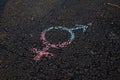 Gender symbol on asphalt, gender concept Royalty Free Stock Photo