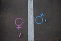 Gender symbol on asphalt, gender concept Royalty Free Stock Photo