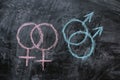 Gender symbols of female and male homosexuality