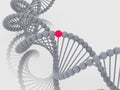 Gene in DNA