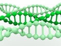 Gene in DNA. Royalty Free Stock Photo
