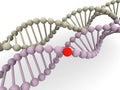 Gene in DNA Royalty Free Stock Photo