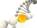 Gene in DNA Royalty Free Stock Photo