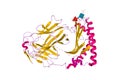 Structure of human CD1e