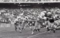 Gene Foster #37 takes the hand off from John Hadl #21 Royalty Free Stock Photo