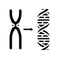 gene genetic engineering glyph icon vector illustration Royalty Free Stock Photo