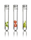 Gene manipulated vegetables in tubes Royalty Free Stock Photo