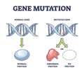 Gene mutation models comparison with abnormal helix protein outline diagram