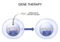 Gene Therapy. Genetic Engineering. Genome Editing