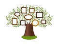 Genealogical family tree with picture frames. Pedigree, genealogy, lineage, dynasty concept. Vector illustration