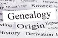 Genealogy Concept Royalty Free Stock Photo