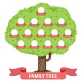 Genealogy family tree son daughter father mother grandfather grandmother parent photo picture frames flat design vector Royalty Free Stock Photo