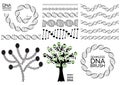 Genealogy tree for dna ancestors illustration isolated