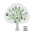 Genealogy tree for dna ancestors illustration isolated