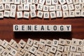 Genealogy word concept on cubes Royalty Free Stock Photo