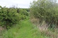 General footpath Treeton Royalty Free Stock Photo