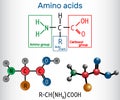 General formula of amino acids, which are building blocks of pro