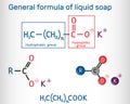 General formula of liquid soap molecule. Potassium carboxylate, RCOOK. It is the potassium salt of fatty acid. Structural chemical