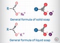 General formula of solid and liquid soap molecule. RCOONa, RCOOK. Molecule model. Sheet of paper in a cage