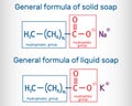 General formula of solid and liquid soap molecule. RCOONa, RCOOK. Structural chemical formula