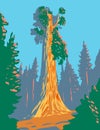 The General Grant Tree a Giant Sequoia in the General Grant Grove Section of Kings Canyon National Park in California WPA Poster Royalty Free Stock Photo