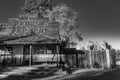Abandon general store, Smith Rock Oregon, black and white