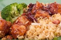 General Tsos Chicken Royalty Free Stock Photo