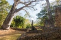 Gedi ruins general view with flute tombs Royalty Free Stock Photo