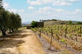 General view of the famous sloped Douro vineyards Royalty Free Stock Photo