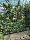 General view of the greenhouse of tropical plants