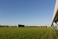 Horse racing track with blue sky Royalty Free Stock Photo