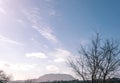 General view of the interior landscape of the island of Mallorca Royalty Free Stock Photo