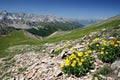 General view of the mountain range overlooking Cristillan valley above Ceillac village, with yellow flowers in the foreground