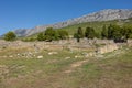 General view of the ruins of Salona