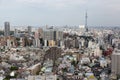 Tokyo Skyline with Tokyo Skytree, Japan