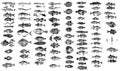 Collection of oceanic and marine fish.