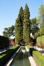 Generalife gardens, Alhambra Palace. Royalty Free Stock Photo