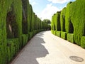 Generalife Gardens in Alhambra Palace Royalty Free Stock Photo