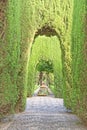 Generalife gardens, alhambra, spain Royalty Free Stock Photo