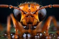 Generate AI. Extreme sharp and detailed view of small metallic wasp. close-up macro shot. A macro photograph of red ant on the gro