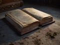 Old, dusty books, lying on the floor Royalty Free Stock Photo