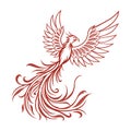 Red Phoenix Line Art Vector Illustration Royalty Free Stock Photo