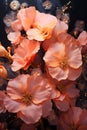 a bunch of flowers that are in a vase. Oil Painting of a Coral color flower perfect for Wall Art. Royalty Free Stock Photo