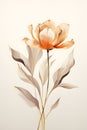 a painting of a flower on a white background.Pencil Drawing Bittersweet Tulip, Perfect for Wall Art. Royalty Free Stock Photo