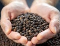 Cupped hands holding black peppercorns