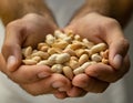 Cupped hands holding peanuts Royalty Free Stock Photo