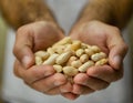 Cupped hands holding peanuts Royalty Free Stock Photo