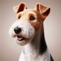 generated by AI. Fox terriers are a breed of English origin that was used to hunt foxes and rats.