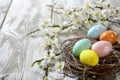 Happy easter adorable Eggs Gleeful Basket. White Blossoming Bunny Copy area. Easter bonnet background wallpaper Royalty Free Stock Photo