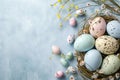 Happy easter Adventure Eggs Easter style Basket. White absurd Bunny Easter bunny ears. Easter lamb background wallpaper